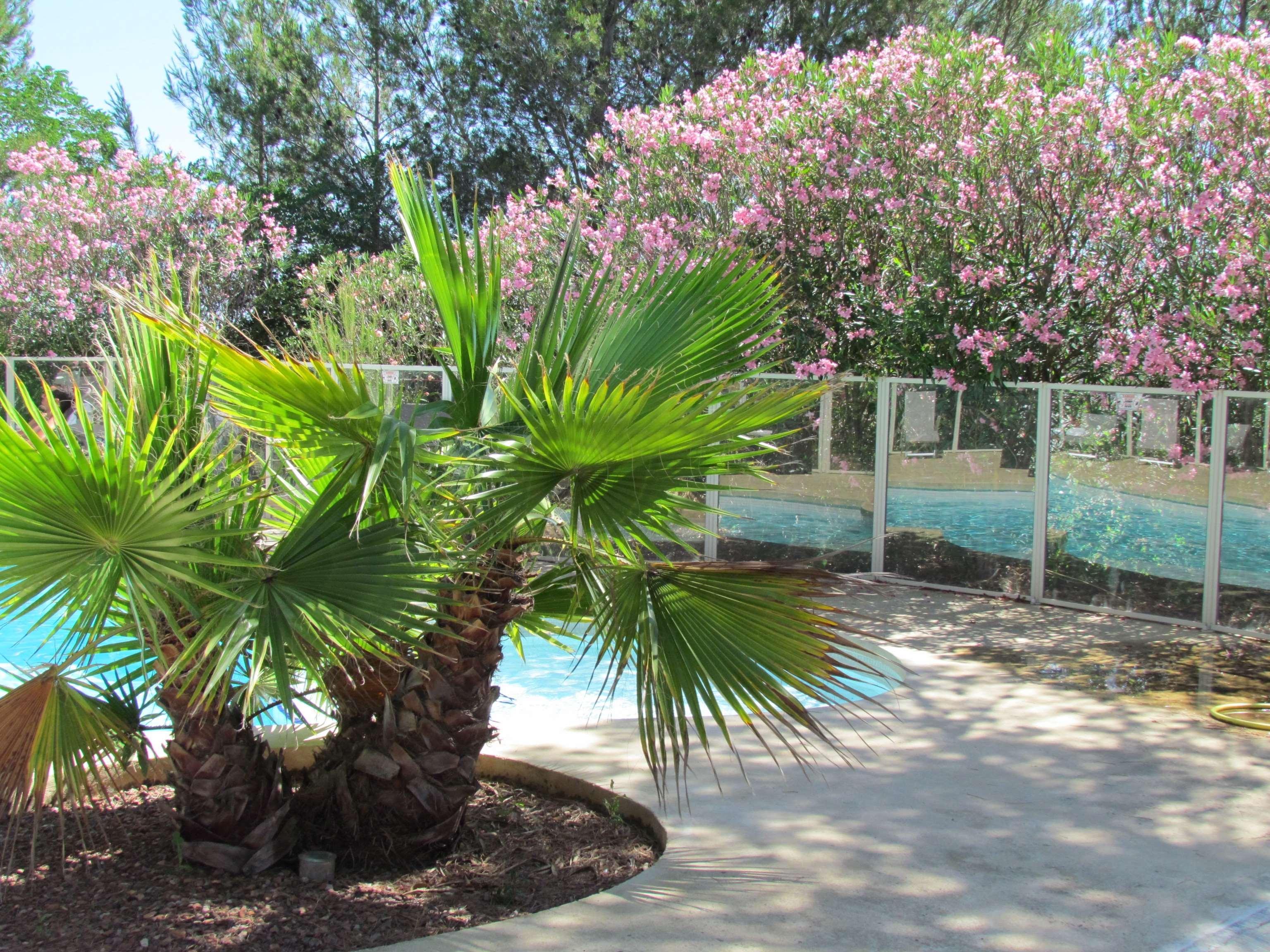 Kyriad Montpellier Nord Parc Euromedecine Saint-Clément Εξωτερικό φωτογραφία